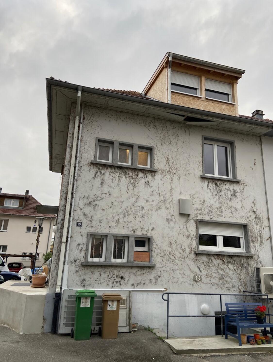 AVANT_2 | Crépis Pro Maison 2 Illzach